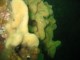 Thumbs/tn_SanJuan 045.jpg
